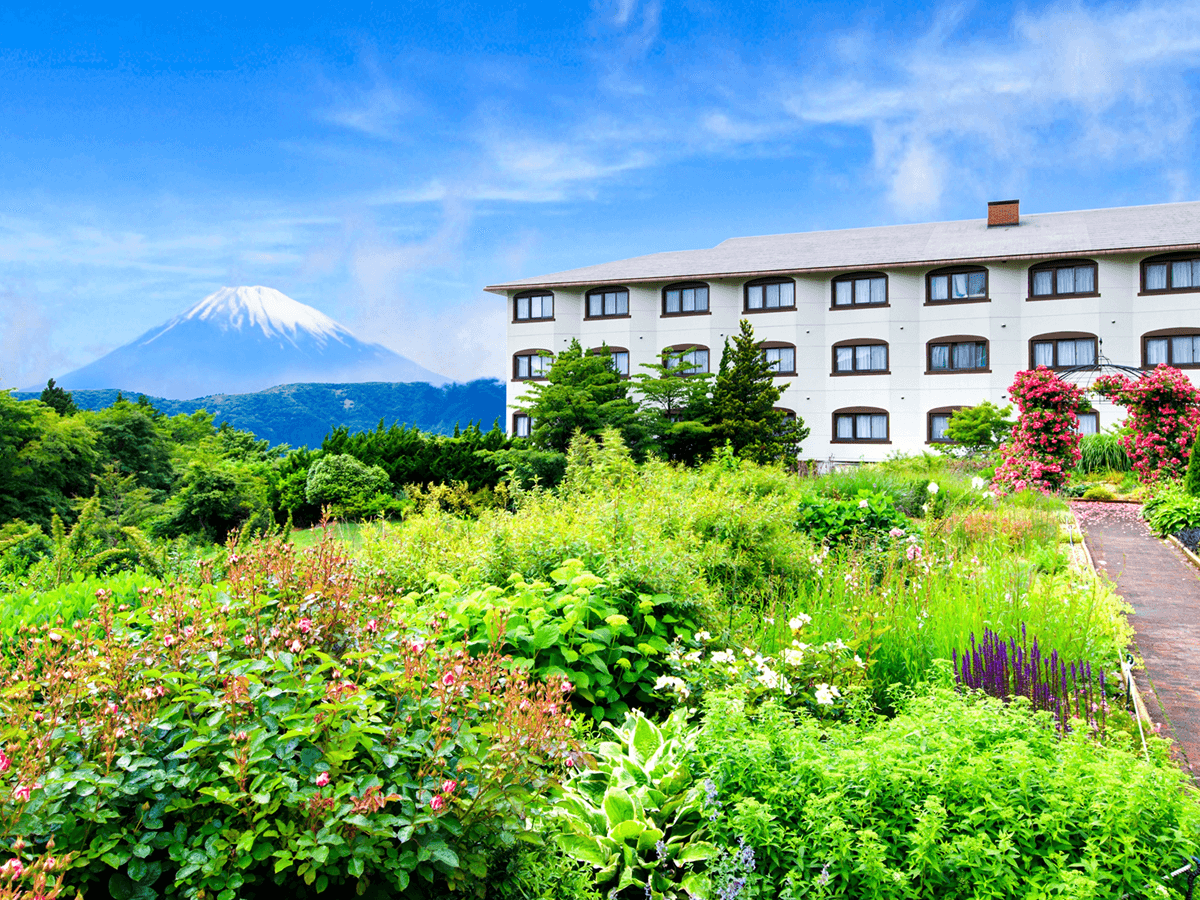 富士山を一望できる宿　ホテルグリーンプラザ箱根