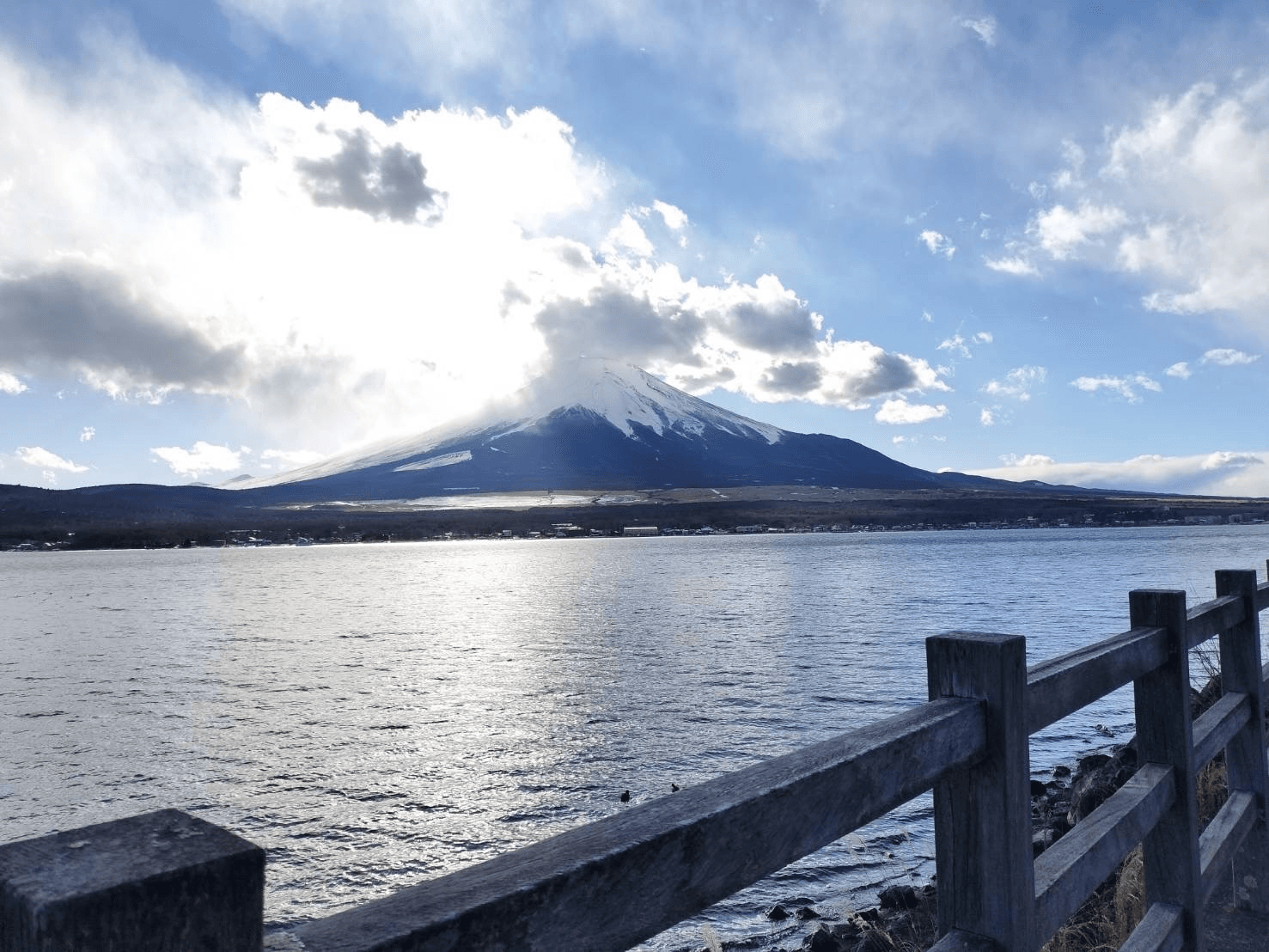 【平日】穏やかな山中湖で、愛犬と泊まれるサウナ付貸別荘リトリートのイメージ6