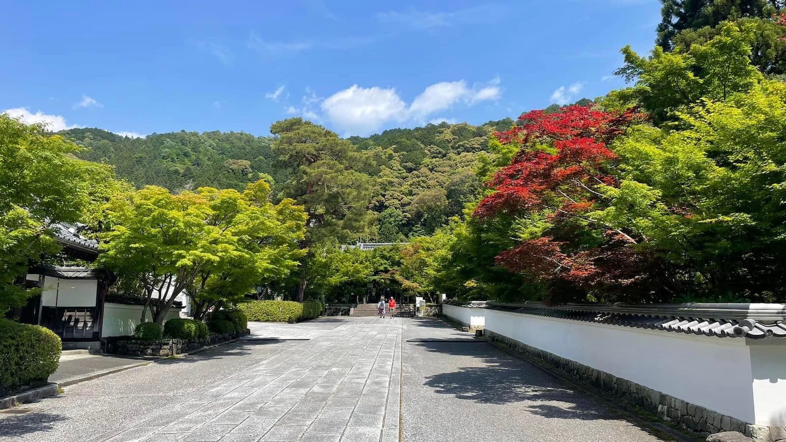 スニーカーで歩こう！あの日の修学旅行を辿る京都2DAYSハイキングのイメージ3