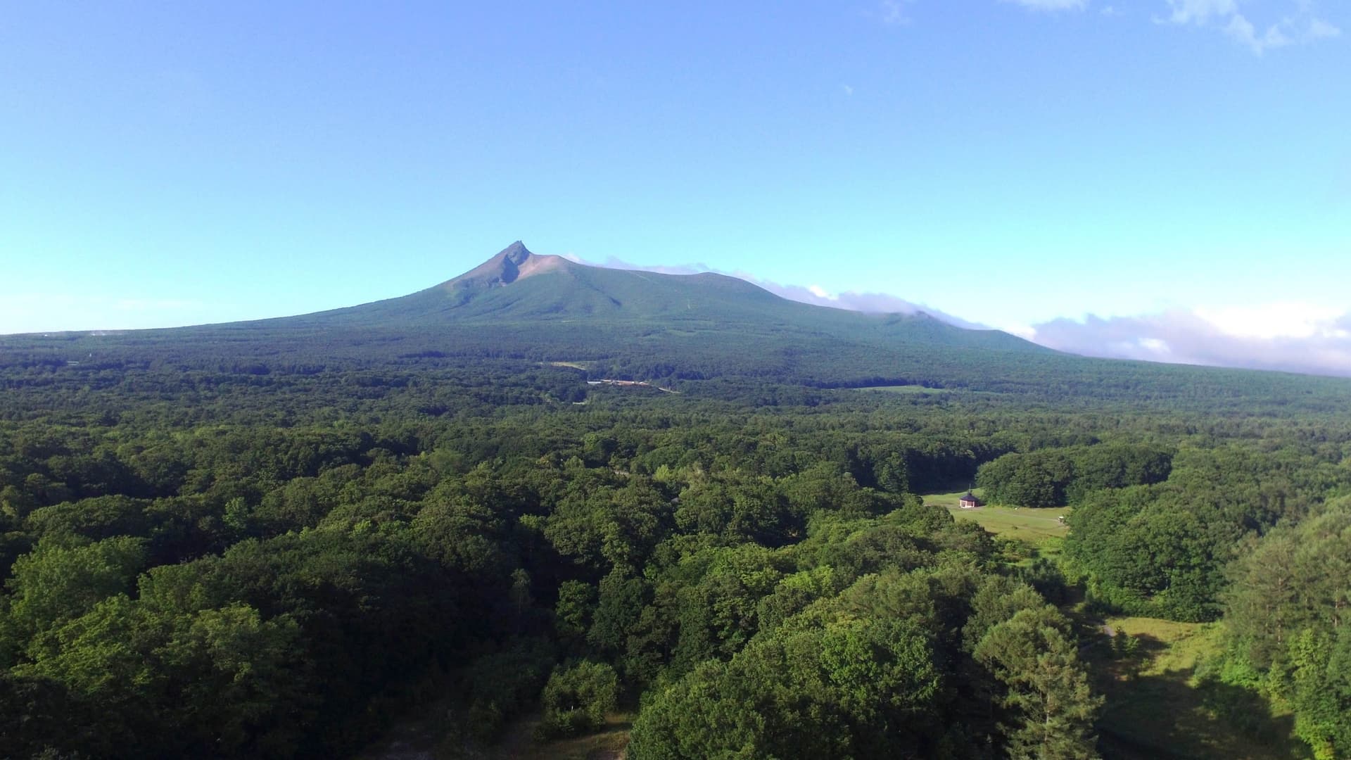 函館大沼の大草原をセグウェイで！それは太古の風と一体化する休日のイメージ5