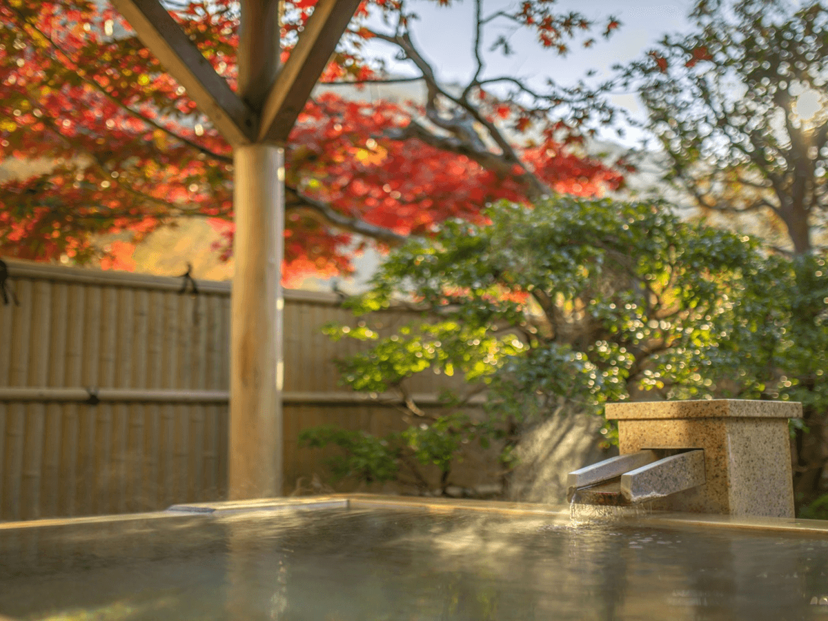 箱根湯本温泉　ホテルおくゆもと tertiary image