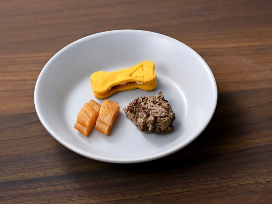 【京都三条】愛犬との今日一日が、いつもよりちょっと幸せに。ドッグラン＆カフェ利用券のイメージ5