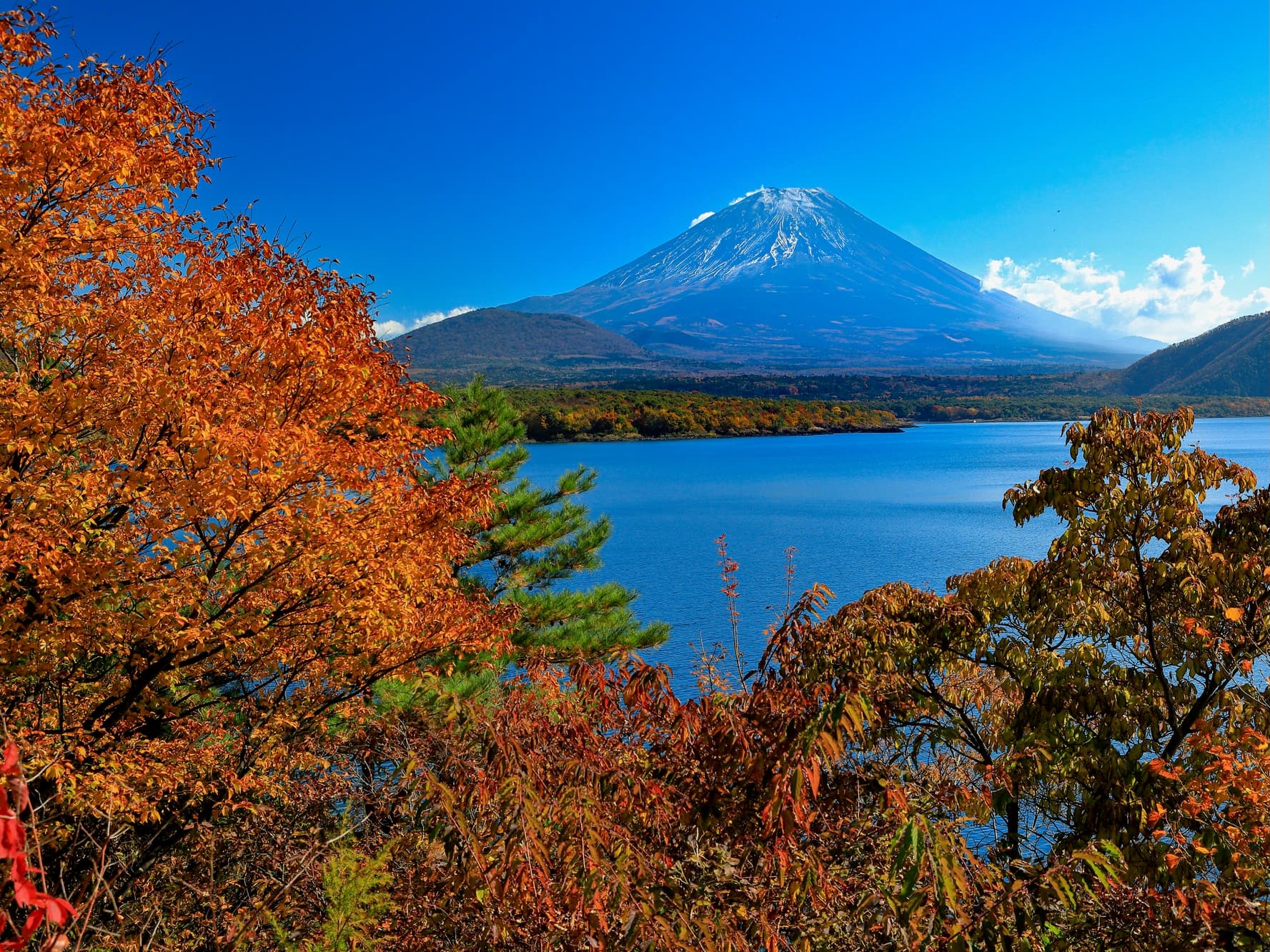 湯けむりの向こうに広がる雄大な富士。